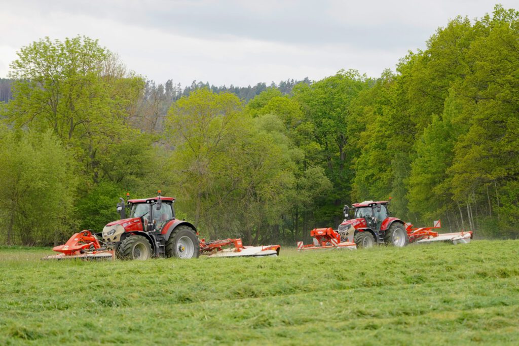 1. Schnitt 2025